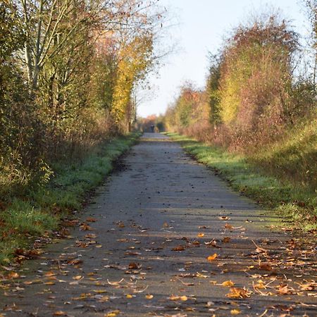 Pour Une Agreable Pause Au Parc ! Alençon Kültér fotó